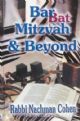 Bar Bat Mitzvah and Beyond